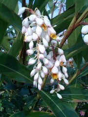 梅雨入り・・・・・・