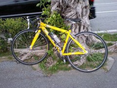 遅ればせながら・・あけ・・おめ　です。