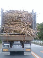 おひさでございます。