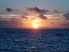 暑い・・・湿っぽい