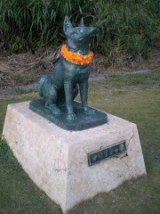 愛しい人………