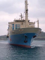 久しぶりの里帰り