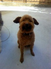 こんなことになってしまいました。