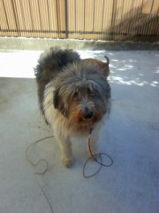 こんなことになってしまいました。Ⅱ