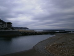 今日は河津に行ってきました！