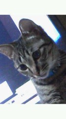 【お題日記】最近嬉しかった出来事