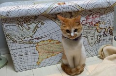 おはようございます