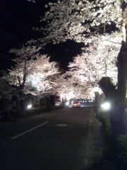 きれいですね＊