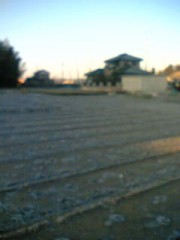 復活。＼(^o^)／