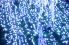 ごめんなさい<(_ _)>。