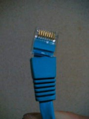 プチキレ｡･ﾟ･(ﾉД`)･ﾟ･｡。