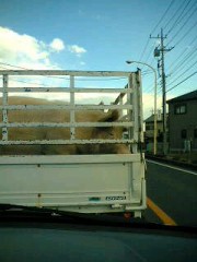 くっだらねぇ～(>з<)