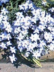 どうすんのオレ！？