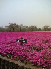 13日の金曜日２。