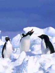 一人暮らし・初日。