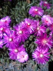 遅くなっちゃいましたね。