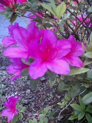 ログ向上委員会。