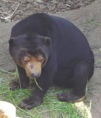 はっ！？(ﾟ□ﾟ；)