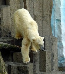 困ったもんだ(~_~;)。