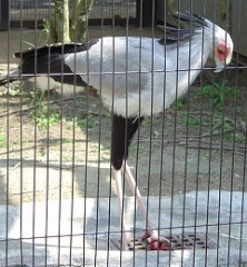 やっちまいました。