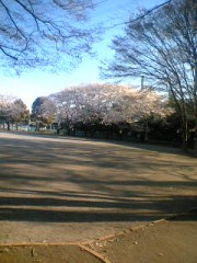 結構大切なエチケットポイント耳ケアのウソ・ホント