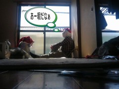 プロフィール変えました