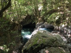 【お題日記】山と海、どちらが好き？