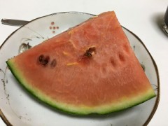 スイカ♪
