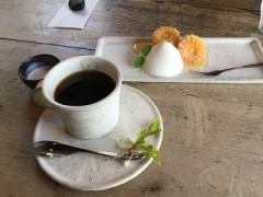 【お題日記】理性と欲望、勝つのはどっち！？