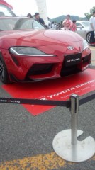 ループ自宅療養日記。