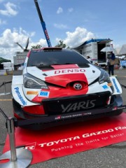 ループ自宅療養日記