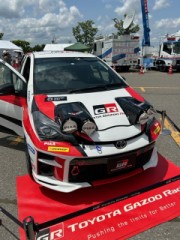 ループ自宅療養日記