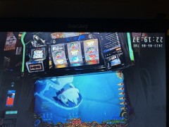 ループ自宅療養日記