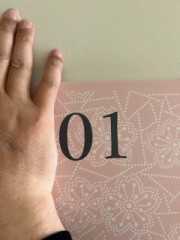 ループ治療入院日記