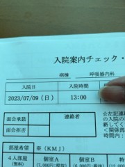 ループ治療入院日記