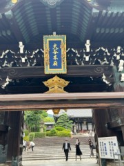 ループ自宅療養日記