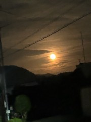 ループ自宅療養日記