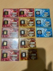 ループ自宅療養日記