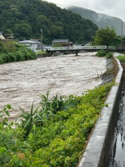 ループ自宅療養日記