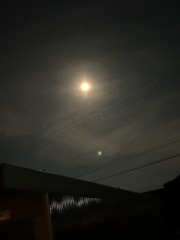 ループ自宅療養日記