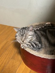 【お題日記】ネタバレは嫌？気にしない？