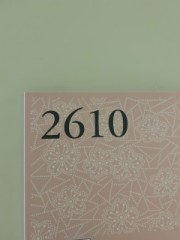 ループ治療入院日記