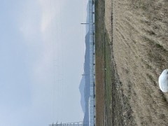 ループ自宅療養日記