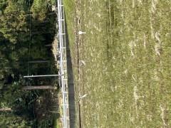 ループ自宅療養日記