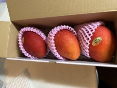 ループ自宅療養日記