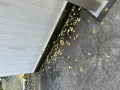 ループ自宅療養日記
