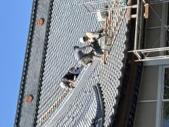 ループ自宅療養日記