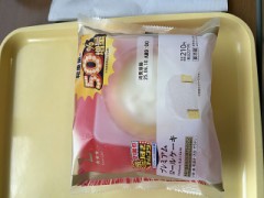 ループ自宅療養日記