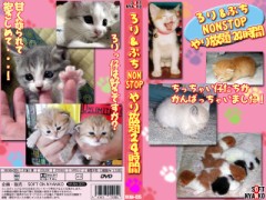 【お題日記】パソコンはWindows派？Mac派