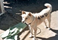 【お題日記】この秋、どんな相手に恋したい？